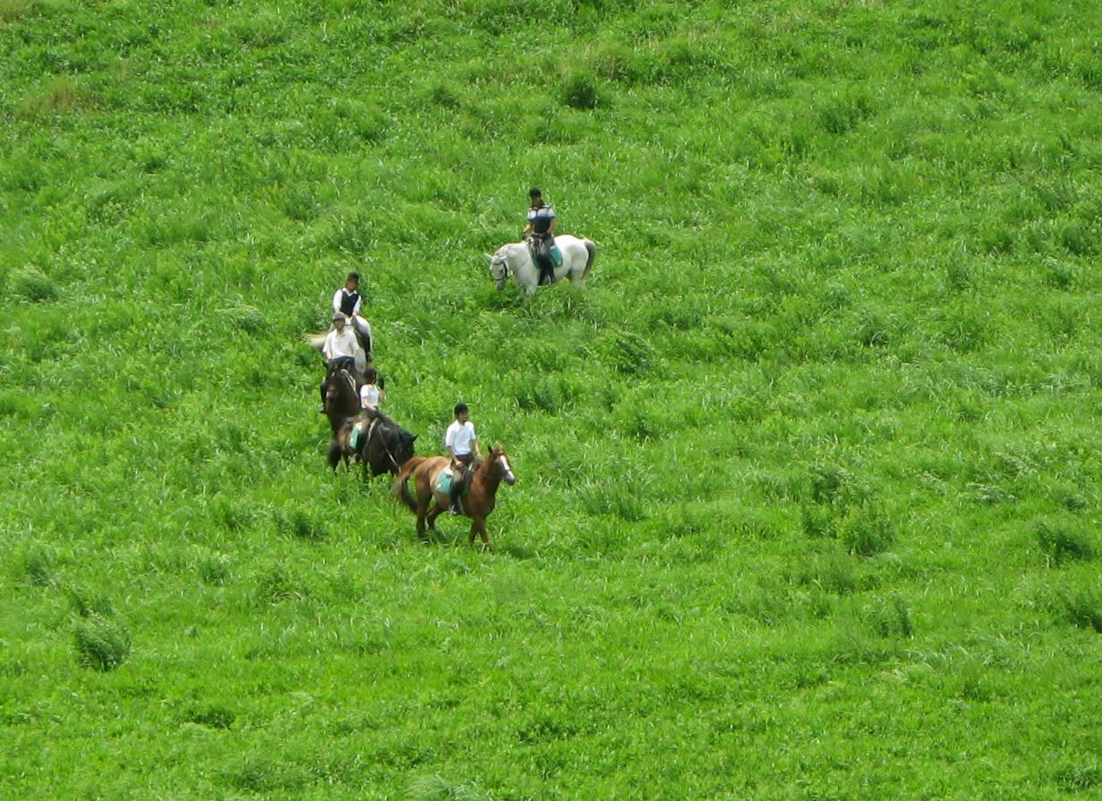 乗馬クラブ クレイン福岡